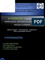 HONGOS. Clasificacion. Morfología. Micosis Cutánea.