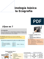 Terminología Básica de La Ecografía