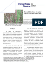 Potencial Da Cana-De-Açúcar para Os Lavrados de Roraima