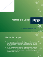 Matriz de Leopold Teoria