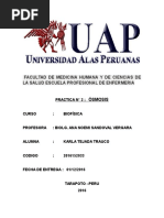 Informe 2