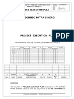 1 Project Execution Plan