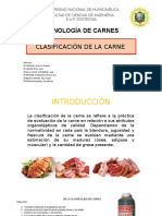 Carnes Expo