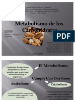 Metabolismo de Los Carbohidratos. Grupo4!