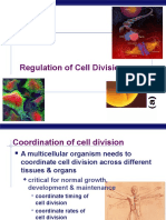 Regulation of Cell Division: AP Biology