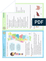 A Grande Aventura - Recursos Do Professor - Estudo Do Meio 3º Ano