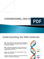 DNA and Genes PDF