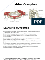 Shoulder Complex