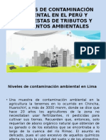 Fuentes de Contaminación Ambiental en El Perú y