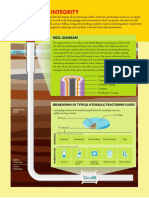 Well Integrity - Shell Diagram