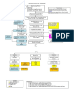 Pathophysiology of Pneumonia