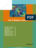 Guia de Bioquimica Metabolica Aminiácidos