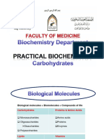 Practical Carbohydrates PDF