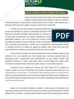 Dieta A Base de Linhaça Pode Combater A Cólica e Laminite Dos Cavalos