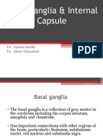 Basal Ganglia Modified