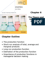 The Theory and Estimation of Production