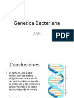 Genetica Bacteriana 2009