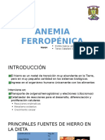 Anemia Ferropenica