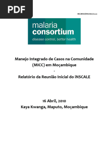 iNSCALE Mozambique Inception Meeting Report Portugues