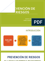 Prevencion de Riesgos