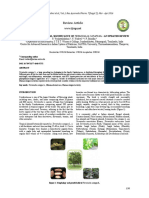 Phytopharmalogical Significance of Terminalia Catappa An Updated Review