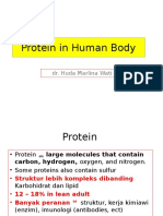 Protein in Human Body