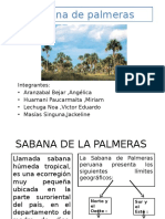 Sabana de Palmeras Expo