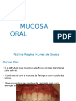 Mucosa+oral+ok