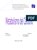 Metabolismo Del Carbono