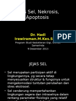 Jejas Sel. (DR Hadi)