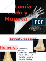 Anatomia de Codo y Muñeca