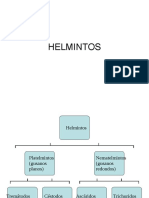 Helmintos 