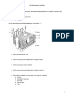 Cell Structure and Function: Use The Lettered Items in The Following Diagram For Questions 2-5