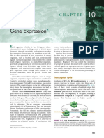 CH 10 Gene Expression