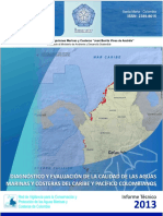 Informe Redcam 2013 4