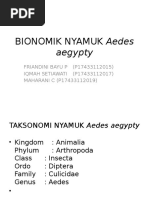 Bionomik Nyamuk Aedes Aegypty