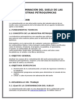 Informe para Petroquimica