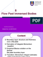 C3 Flow Past Immersed Body