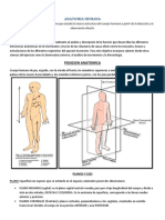 Anatomia - Planos Ejes Osteologia