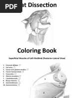 Cat Coloring Book