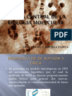 Dogma Central de La Biologia Molecular PDF