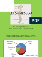 Neuroanatomia Medular PDF