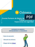 Copasst Inspecciones de Seguridad Colmena