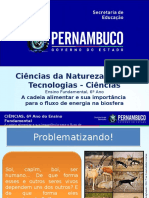 Aula 2 A Cadeia Alimentar e Sua Importância para o Fluxo de Energia Na Biosfera