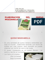 Queso Mozarrella