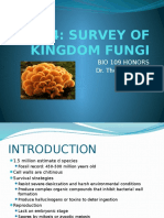 Lab 4 Kingdom Fungi