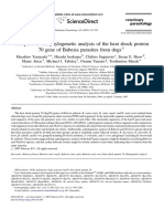 Comparison and Phylogenetic Analysis of The Heat Shock Protein 70 Gene of Babesia Parasites From