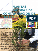 Plantas B.I.M