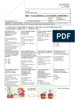 Prueba Ciencias Unidad Las Plantas y El Medio Ambiente 3º