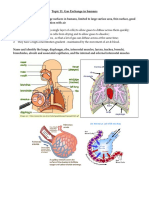 Topic 11 Revision Notes 19hzxf3